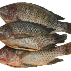 Tilapia fish Bream